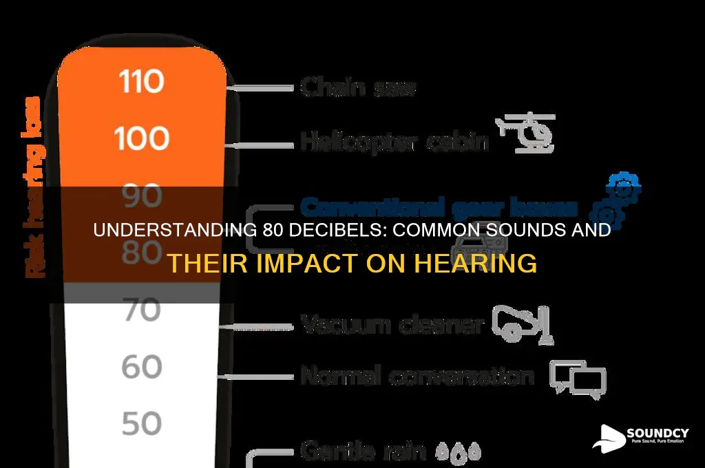 what sound is 80 decibels