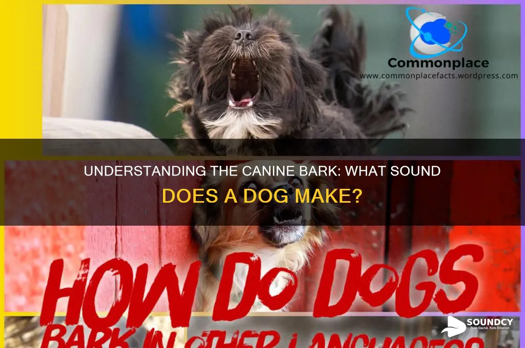what sound is a bark