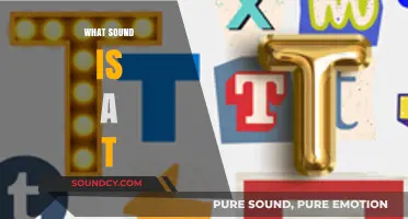 Exploring the Unique Sound of the Letter T: A Linguistic Journey