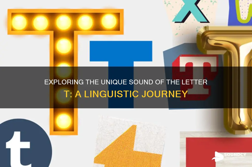 what sound is a t