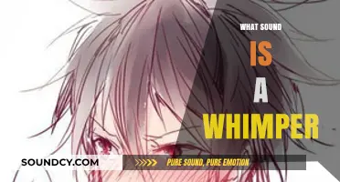 Understanding the Soft, Subtle Sound of a Whimper: A Detailed Exploration