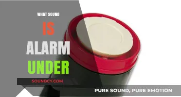 Understanding the Science Behind Alarm Sounds and Their Frequency Range