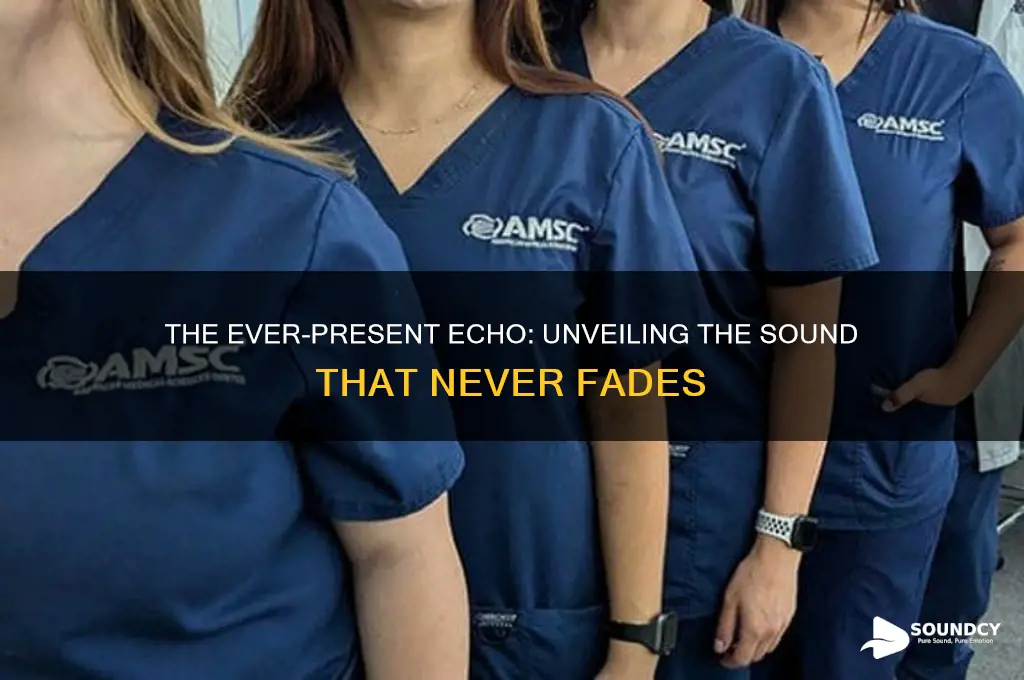 what sound is always heard