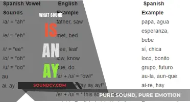 Understanding the Unique Sound of 'Ay': A Phonetic Exploration