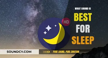 Sound Sleep: Finding the Right Noise for Rest