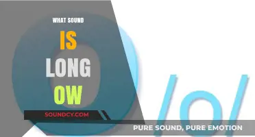 Mastering the Long 'OW' Sound: Phonics, Examples, and Practice Tips