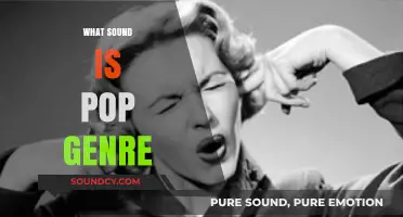 Exploring the Vibrant and Diverse Sounds of Pop Music Genre
