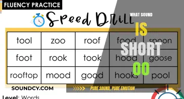 Mastering the Short OO Sound: Phonics Guide for Clear Pronunciation