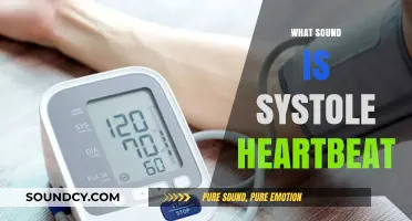 Understanding Systole: The Powerful Sound of Your Heartbeat Explained