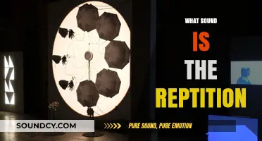 Exploring the Power of Repetition: What Sound Does It Create?