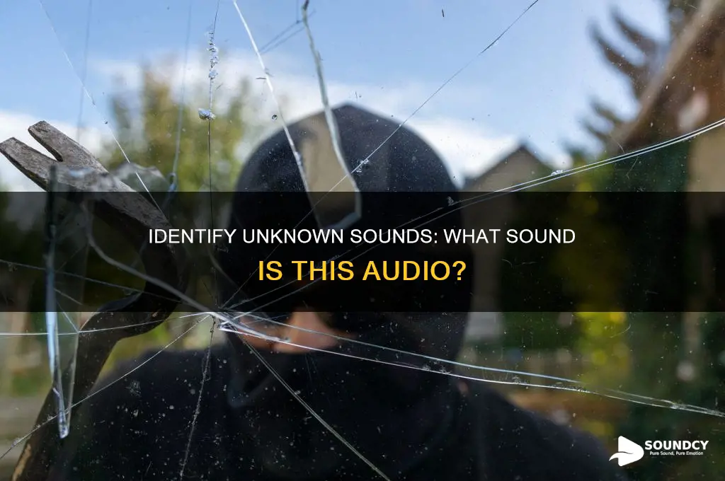 what sound is this audio
