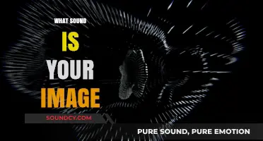 Visual Echoes: Translating Your Image into a Sonic Experience
