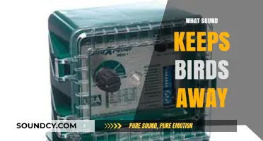 Effective Bird Deterrent Sounds: Strategies to Keep Birds at Bay