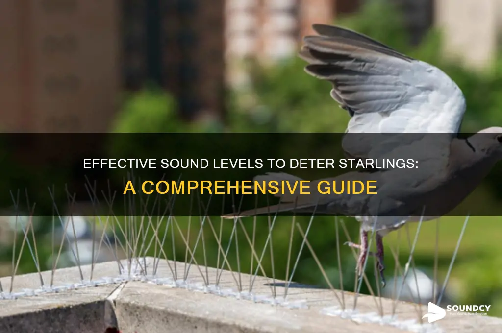 what sound level deters starlings