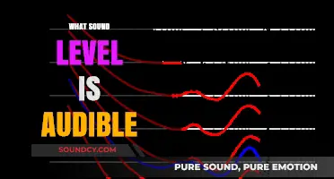 Understanding Audible Sound Levels: What Decibels Can the Human Ear Detect?