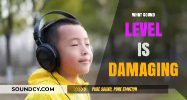 Understanding Dangerous Decibels: When Sound Levels Become Harmful to Hearing