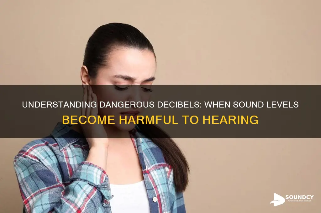 what sound level is damaging