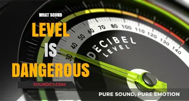 Dangerous Decibels: Understanding When Sound Levels Threaten Your Hearing