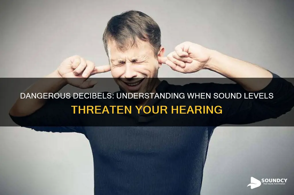 what sound level is dangerous