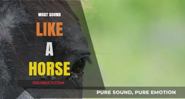 Unraveling the Unique Sounds of Horses: Neighs, Whinnies, and More
