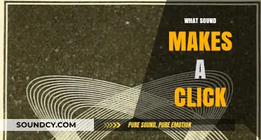 Unraveling the Science Behind What Sound Makes a Click