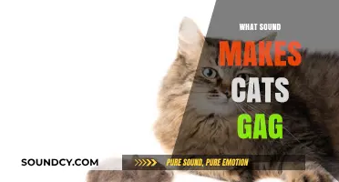 Uncovering the Mysterious Sounds That Trigger Cats' Gag Reflex