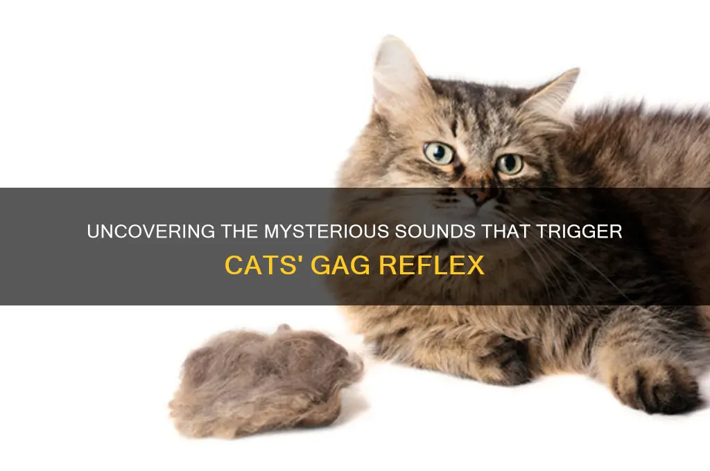 what sound makes cats gag
