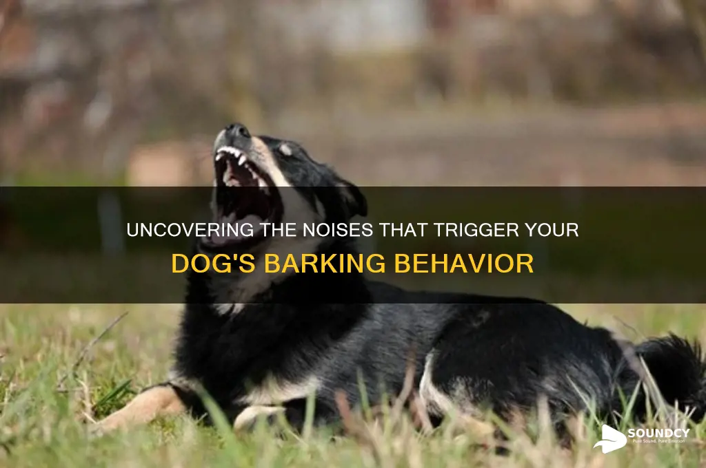 what sound makes dogs bark