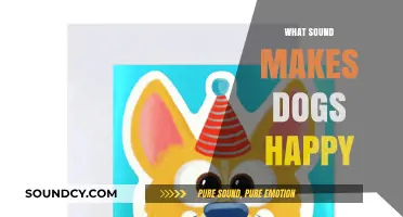 Discover the Joyful Sounds That Make Dogs Wag Their Tails Happily
