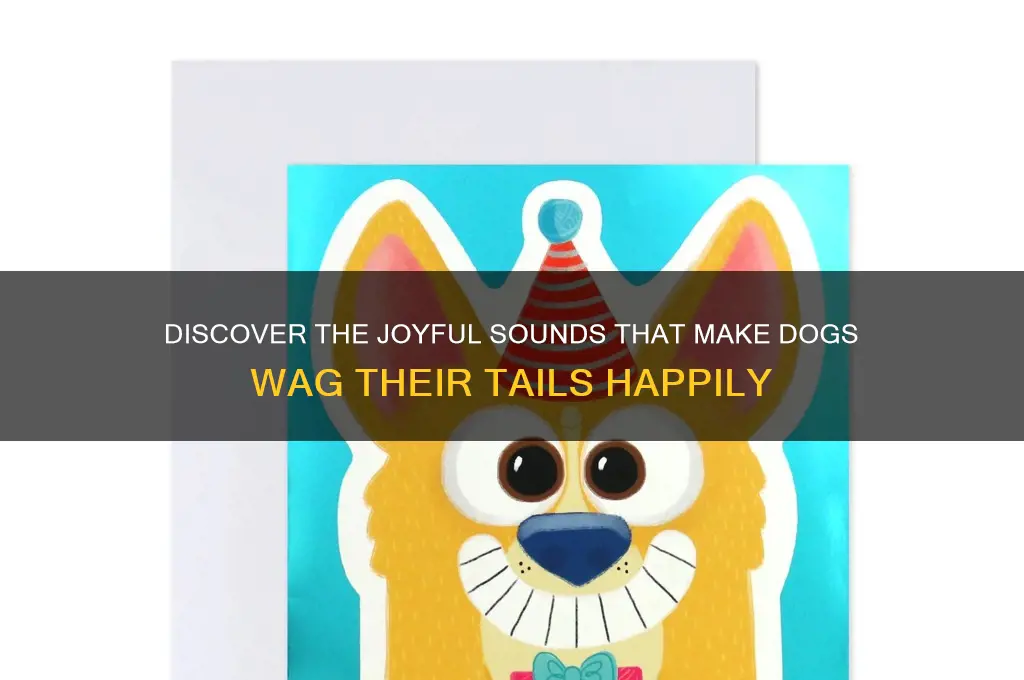 what sound makes dogs happy