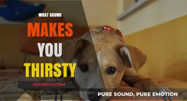 The Surprising Sounds That Trigger Thirst: Unraveling the Science Behind It