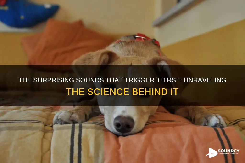 what sound makes you thirsty