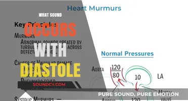 Understanding the Heart's Diastolic Sound: What You Need to Know