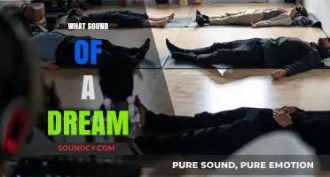Unveiling the Mystical Soundscapes of Dreams: A Journey Beyond Silence