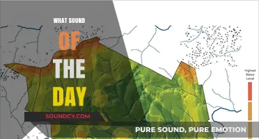 Daily Soundscape: Exploring the Unique Sound of the Day