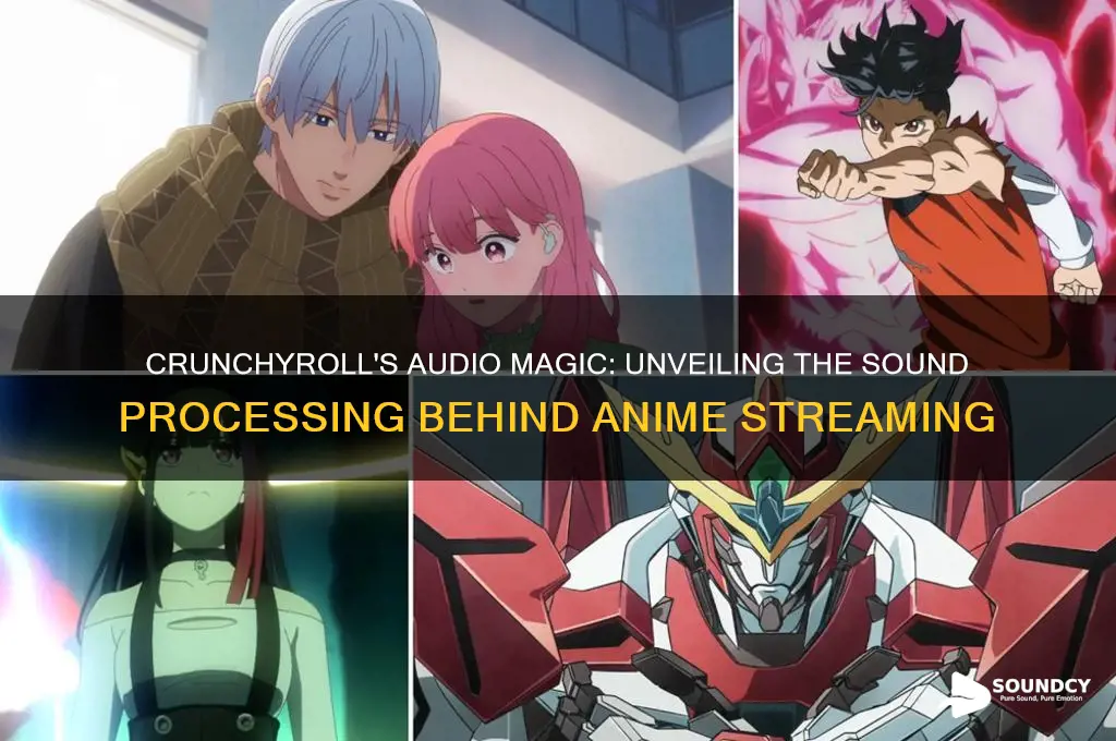 what sound processing does crunchyroll