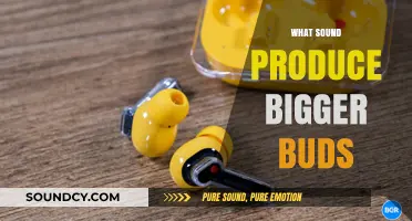 Enhance Your Harvest: The Impact of Sound on Bigger Bud Growth