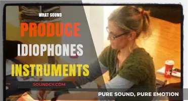 Exploring the Unique Sounds of Idiophones: How These Instruments Vibrate