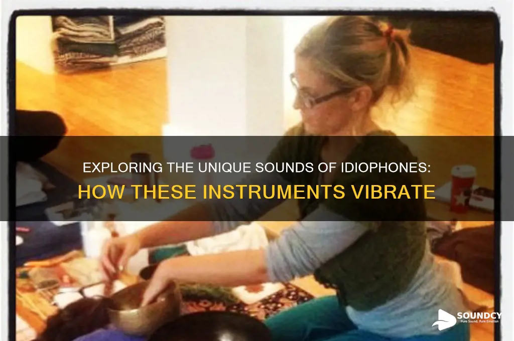 what sound produce idiophones instruments