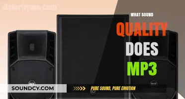Exploring MP3 Sound Quality: Compression, Clarity, and Audio Experience