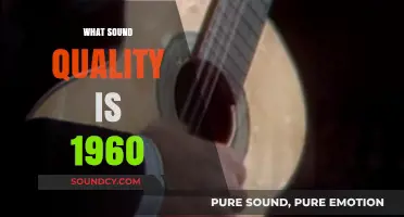 Exploring the Unique Sound Quality of the 1960s Music Era