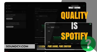 Exploring Spotify's Sound Quality: Streaming Audio Clarity and Compression