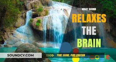 Unwind Your Mind: Discover the Soothing Sounds That Calm the Brain
