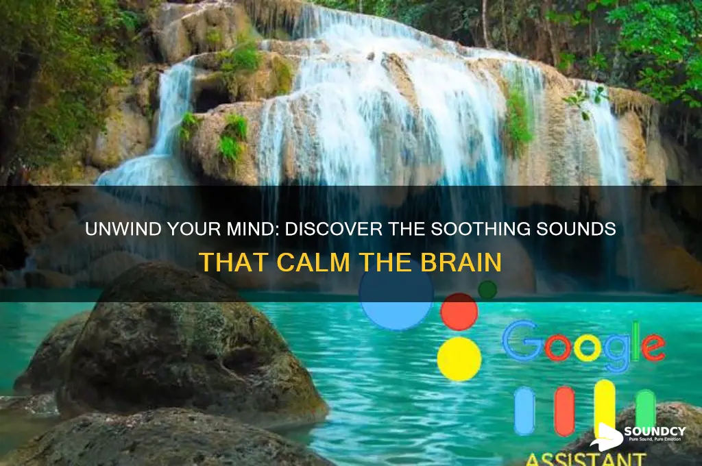 what sound relaxes the brain
