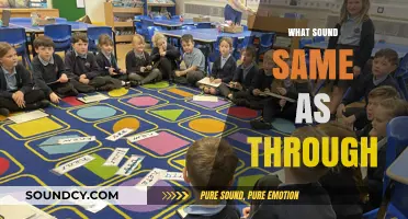 Words That Sound Like 'Through': Unraveling Homophones and Near-Homophones