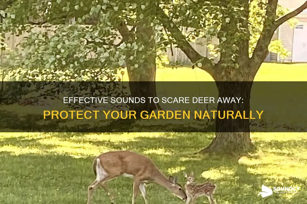 what sound scares deer away