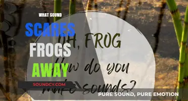 Unveiling the Unexpected Noise That Instantly Frightens Frogs Away
