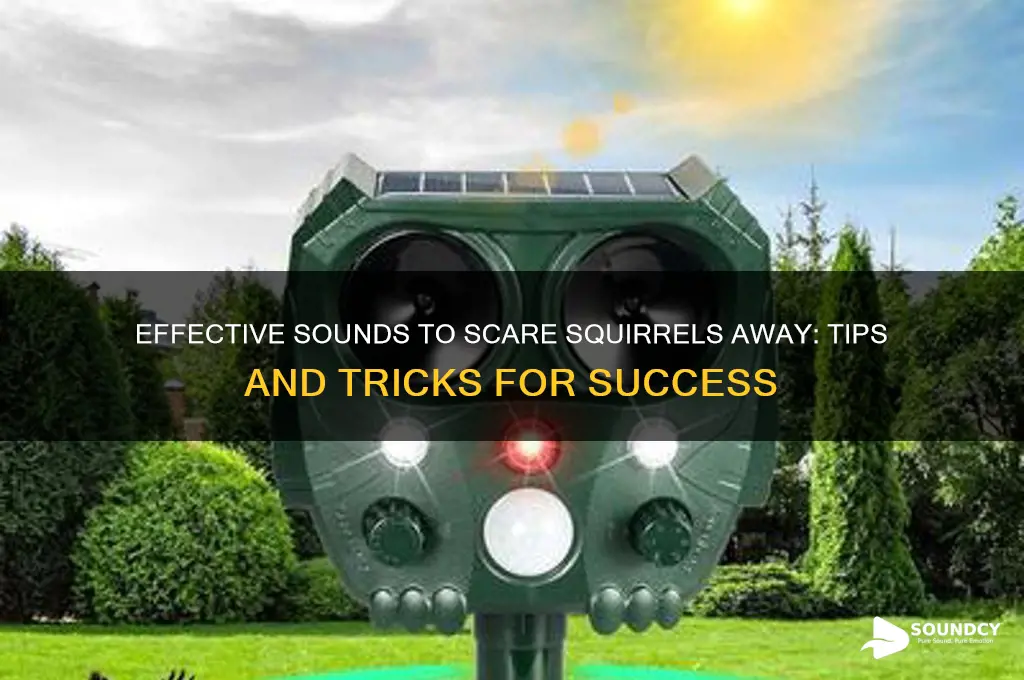 what sound scares squirrels away