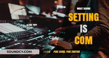 Understanding 'What Sound Setting is Com': A Comprehensive Guide