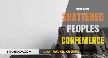 The Shocking Sound That Shattered Confidence and Changed Lives Forever